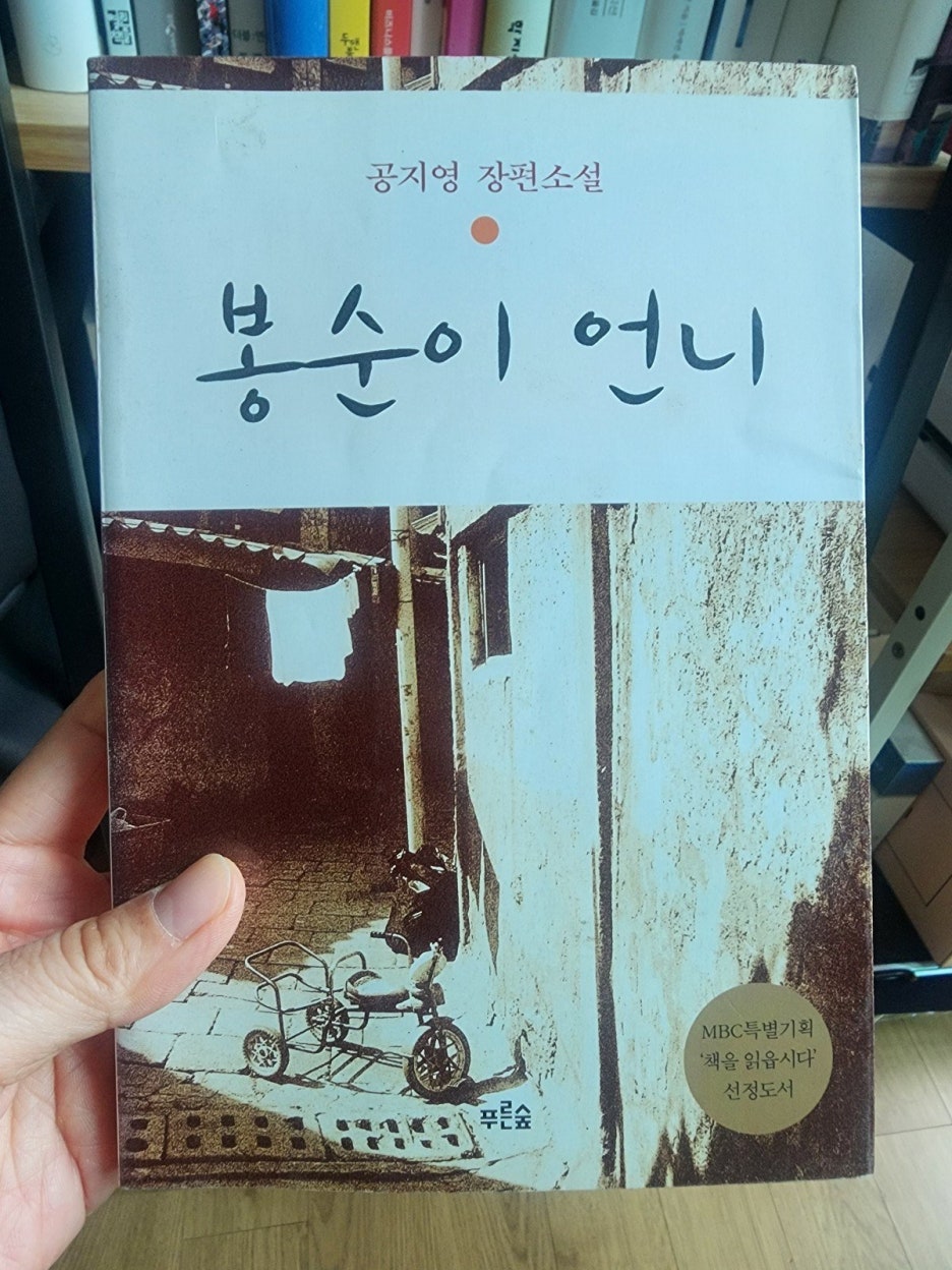 봉순이 언니, 공지영 소설이 던지는 깊은 울림: 기억과 공감의 서사 분석