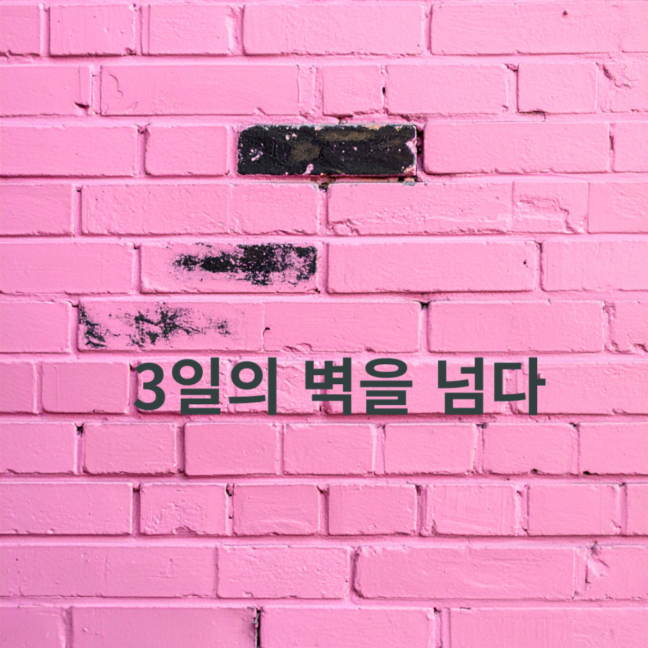 [21일 챌린지] AI 블로그, 3일 포기하던 내가 21일을 채운 이유