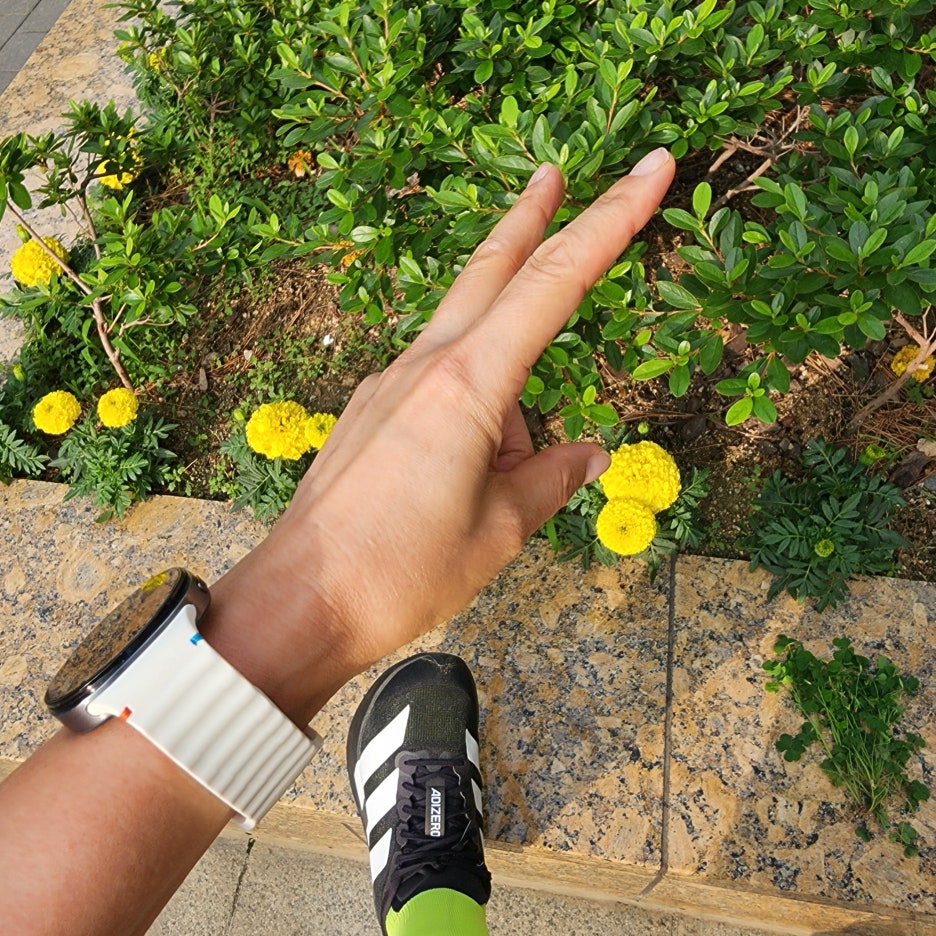 [21일의 기적-15일차] 작심삼일은 옛말, 15일 차에 증명한 미친 실행력의 비밀